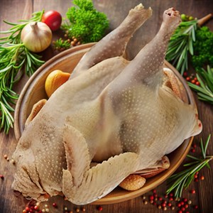 Курица домашняя суповая (примерный вес 1,6-2,5 кг)